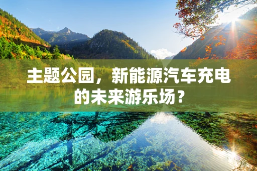 主题公园，新能源汽车充电的未来游乐场？