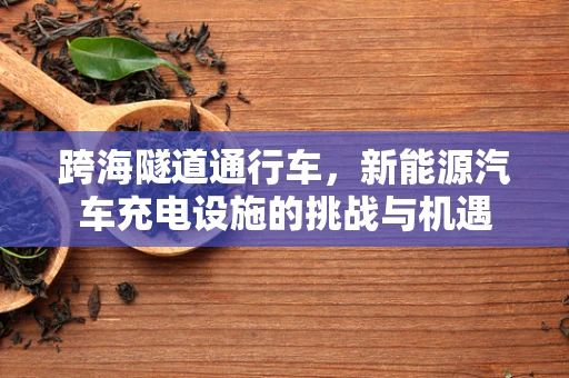 跨海隧道通行车，新能源汽车充电设施的挑战与机遇
