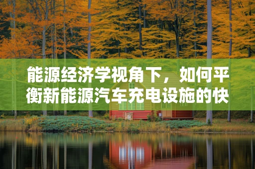 能源经济学视角下，如何平衡新能源汽车充电设施的快速部署与成本效益？