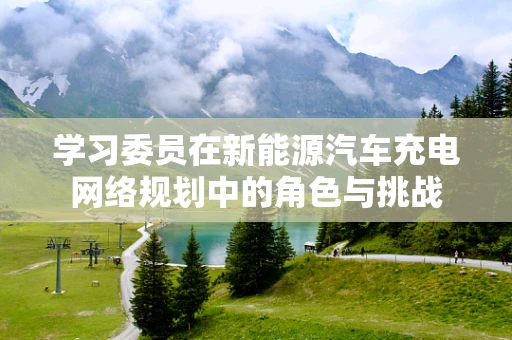 学习委员在新能源汽车充电网络规划中的角色与挑战