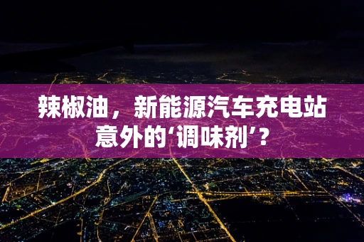 辣椒油，新能源汽车充电站意外的‘调味剂’？