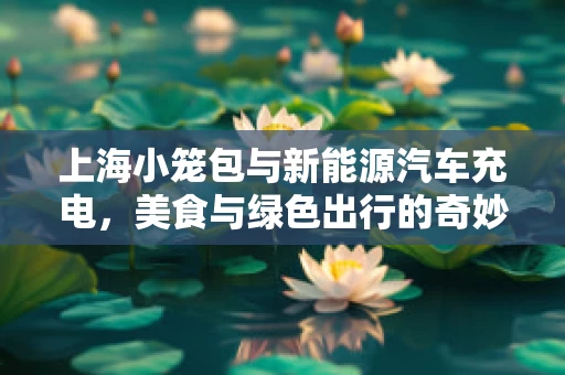 上海小笼包与新能源汽车充电，美食与绿色出行的奇妙碰撞