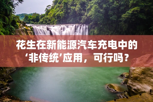 花生在新能源汽车充电中的‘非传统’应用，可行吗？