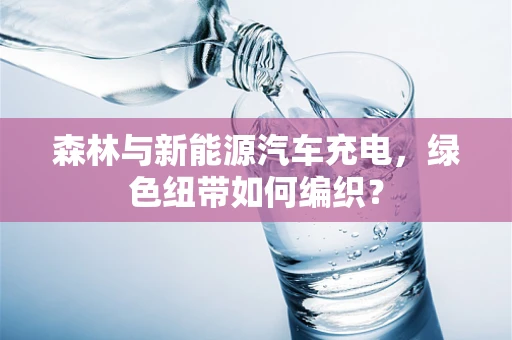 森林与新能源汽车充电，绿色纽带如何编织？