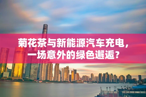 菊花茶与新能源汽车充电，一场意外的绿色邂逅？