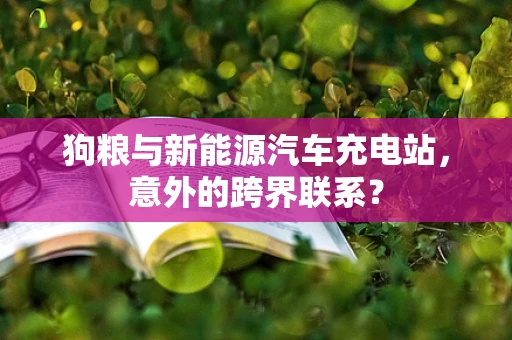 狗粮与新能源汽车充电站，意外的跨界联系？