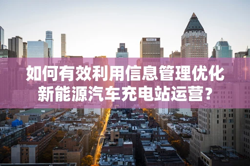 如何有效利用信息管理优化新能源汽车充电站运营？