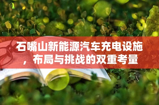 石嘴山新能源汽车充电设施，布局与挑战的双重考量