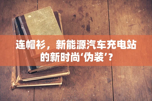 连帽衫，新能源汽车充电站的新时尚‘伪装’？