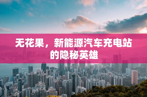 无花果，新能源汽车充电站的隐秘英雄