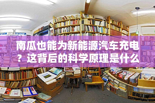 南瓜也能为新能源汽车充电？这背后的科学原理是什么？