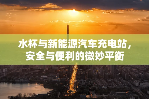 水杯与新能源汽车充电站，安全与便利的微妙平衡