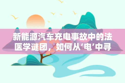 新能源汽车充电事故中的法医学谜团，如何从‘电’中寻找真相？