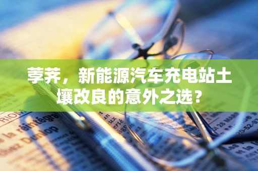 荸荠，新能源汽车充电站土壤改良的意外之选？