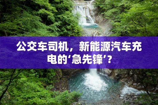 公交车司机，新能源汽车充电的‘急先锋’？
