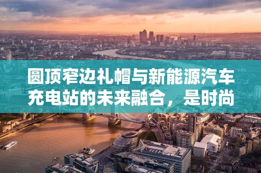 圆顶窄边礼帽与新能源汽车充电站的未来融合，是时尚还是实用？