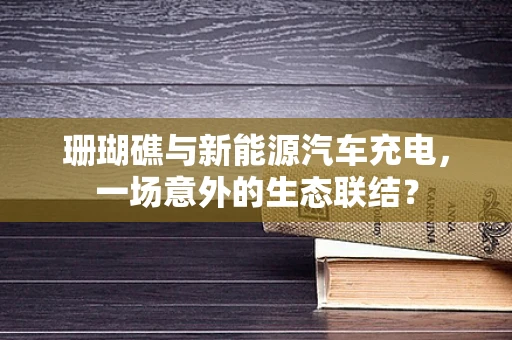 珊瑚礁与新能源汽车充电，一场意外的生态联结？