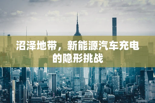 沼泽地带，新能源汽车充电的隐形挑战