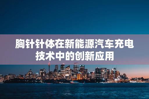 胸针针体在新能源汽车充电技术中的创新应用