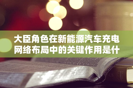 大臣角色在新能源汽车充电网络布局中的关键作用是什么？