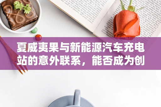 夏威夷果与新能源汽车充电站的意外联系，能否成为创新材料？