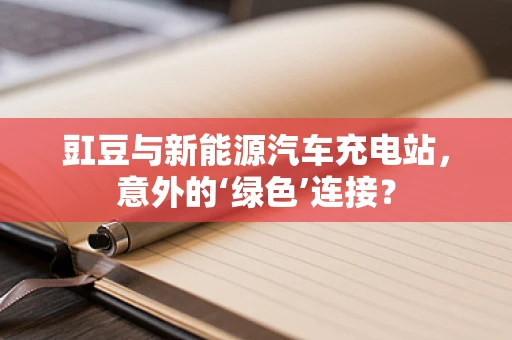 豇豆与新能源汽车充电站，意外的‘绿色’连接？