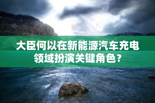 大臣何以在新能源汽车充电领域扮演关键角色？