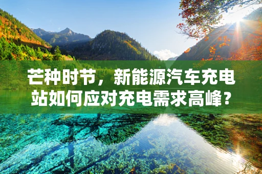 芒种时节，新能源汽车充电站如何应对充电需求高峰？