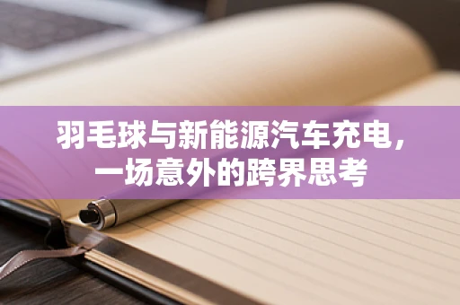 羽毛球与新能源汽车充电，一场意外的跨界思考