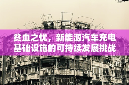 贫血之忧，新能源汽车充电基础设施的可持续发展挑战