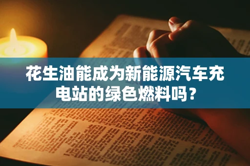 花生油能成为新能源汽车充电站的绿色燃料吗？