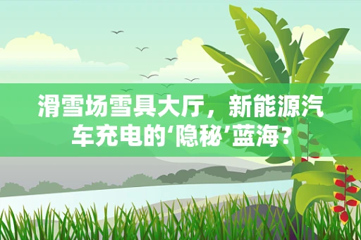 滑雪场雪具大厅，新能源汽车充电的‘隐秘’蓝海？