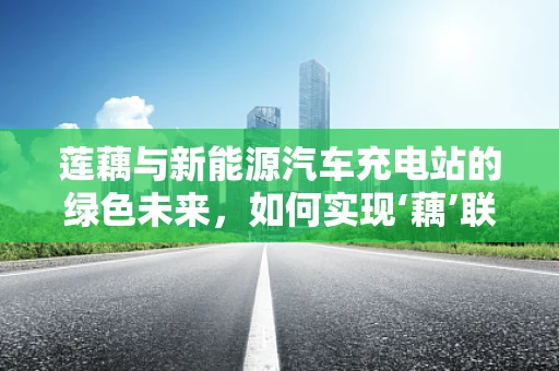 莲藕与新能源汽车充电站的绿色未来，如何实现‘藕’联共生？