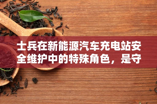 士兵在新能源汽车充电站安全维护中的特殊角色，是守护者还是参与者？