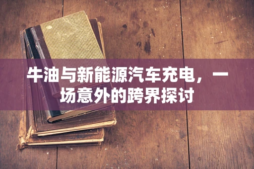 牛油与新能源汽车充电，一场意外的跨界探讨