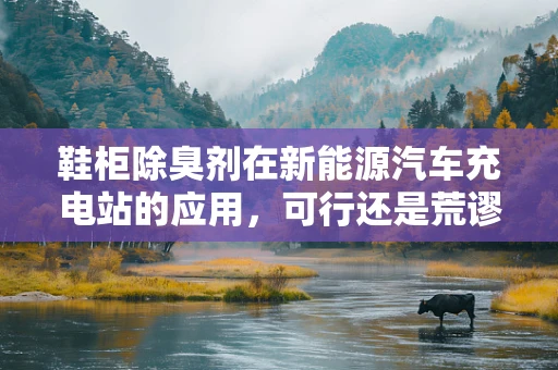 鞋柜除臭剂在新能源汽车充电站的应用，可行还是荒谬？