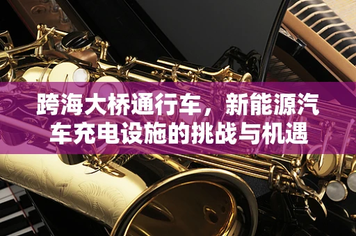 跨海大桥通行车，新能源汽车充电设施的挑战与机遇