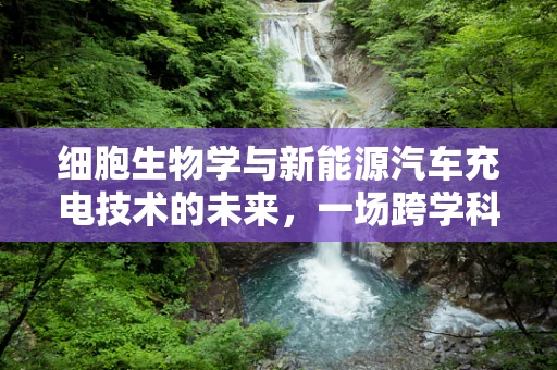 细胞生物学与新能源汽车充电技术的未来，一场跨学科的奇妙融合