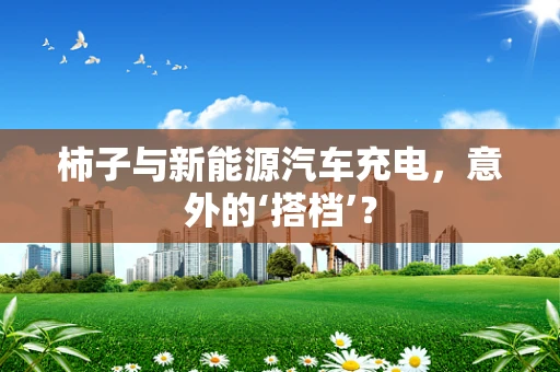 柿子与新能源汽车充电，意外的‘搭档’？