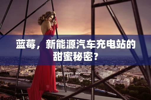 蓝莓，新能源汽车充电站的甜蜜秘密？