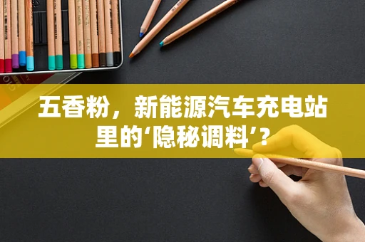 五香粉，新能源汽车充电站里的‘隐秘调料’？