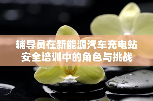 辅导员在新能源汽车充电站安全培训中的角色与挑战
