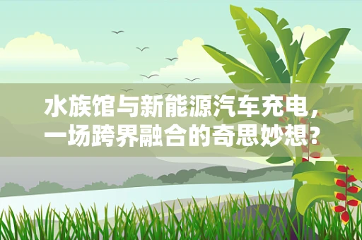 水族馆与新能源汽车充电，一场跨界融合的奇思妙想？