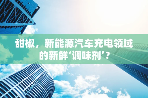 甜椒，新能源汽车充电领域的新鲜‘调味剂’？
