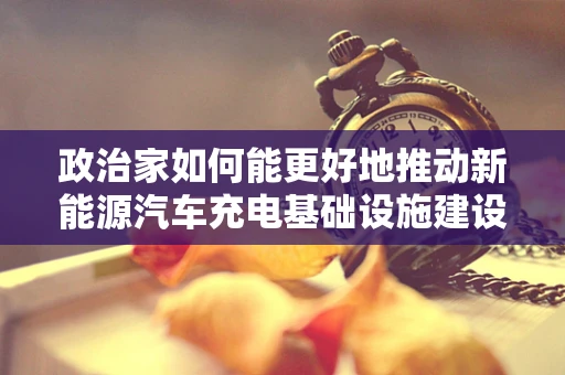 政治家如何能更好地推动新能源汽车充电基础设施建设？