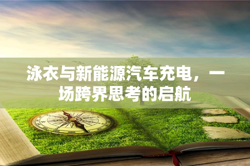 泳衣与新能源汽车充电，一场跨界思考的启航