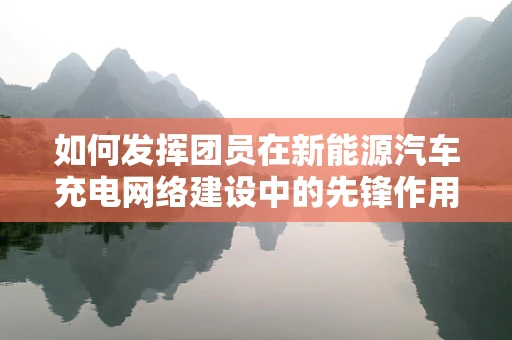 如何发挥团员在新能源汽车充电网络建设中的先锋作用？