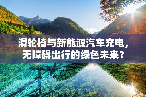 滑轮椅与新能源汽车充电，无障碍出行的绿色未来？