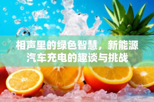 相声里的绿色智慧，新能源汽车充电的趣谈与挑战