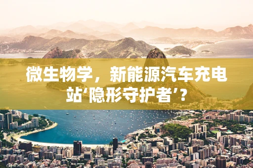 微生物学，新能源汽车充电站‘隐形守护者’？